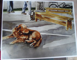 Red Dog & Yellow Benches