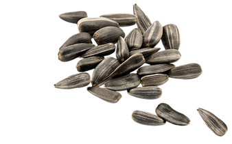 seed revitalization page (1).png