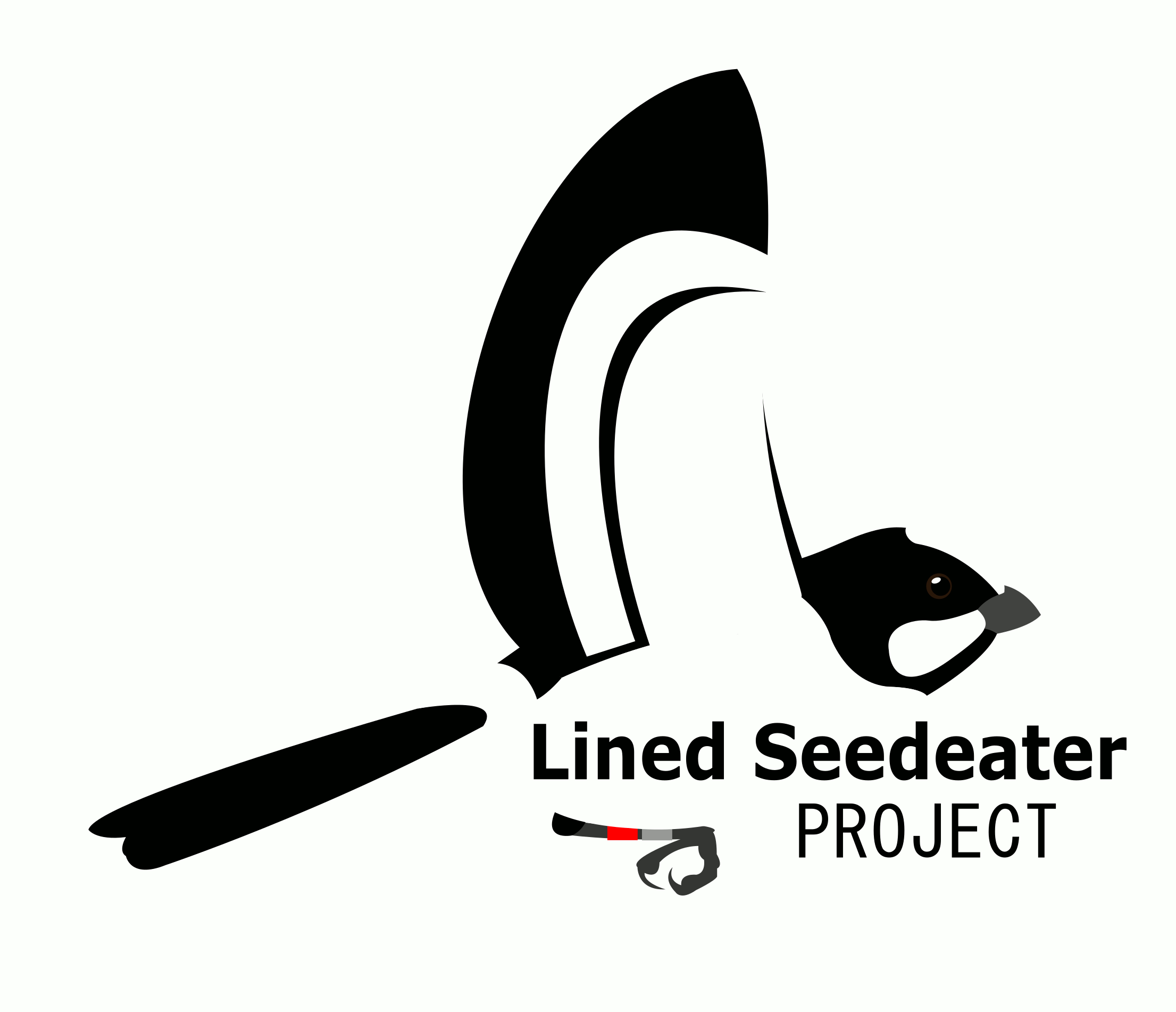 Lined Seedeater Project