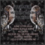 2Timer, Within Wilds, Vultures