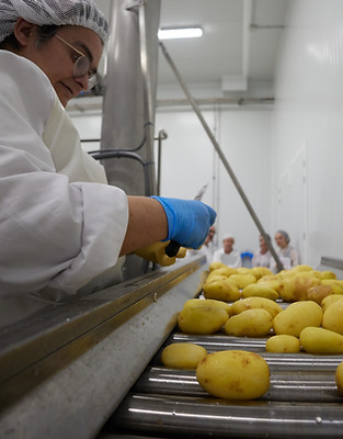 Fabricació patates-0V7A6410.jpg