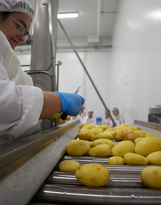 Fabricació patates-0V7A6410.jpg