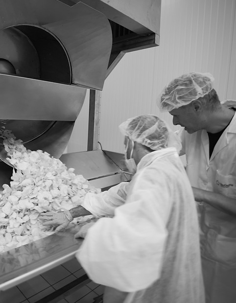 Fabricació de patates amb inclusió