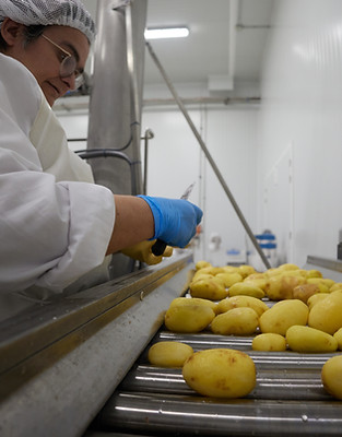 Fabricació patates a l'obrador sant tomàs