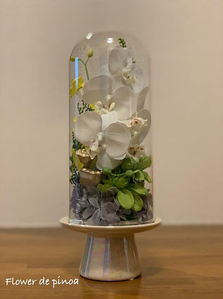 image_6483441 (5).JPG