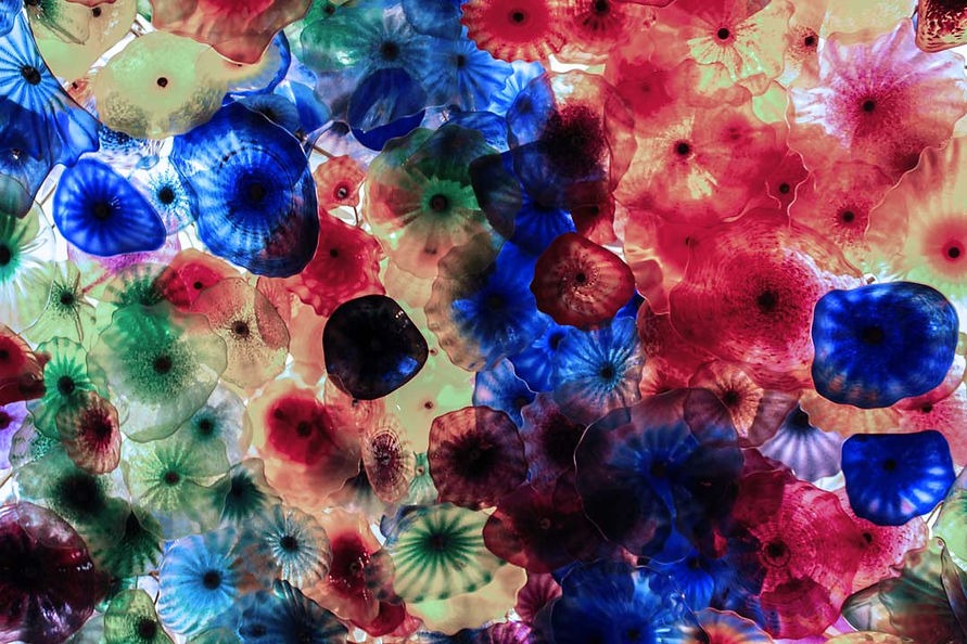 banner-2.jpg