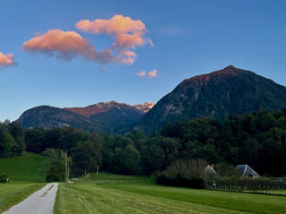 The Travels, an Update - A Biosphere Project Blog