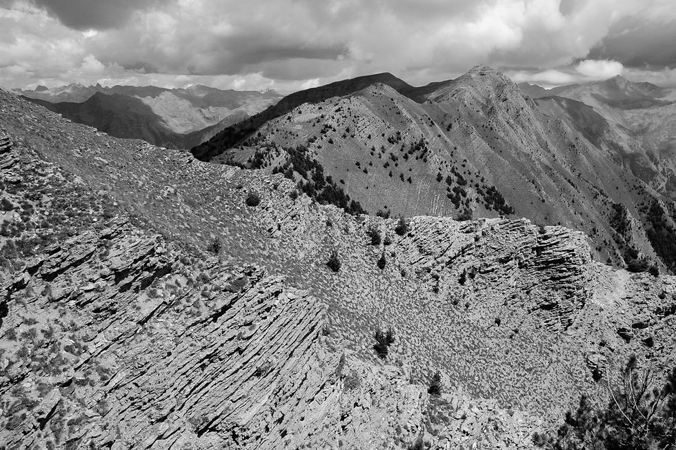 #33. Ridge, Alpes-de-Haute-Provence, France, July 2005