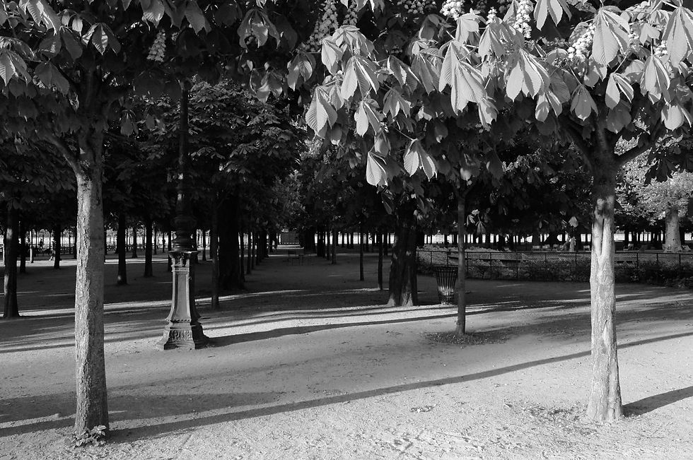 Tuileries, Paris, April 2011