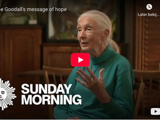 For Jane - Musings and Meditations