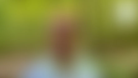 Walkie-Talkie #1 - Musings and Meditations