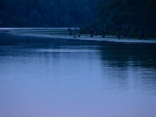 In Between Doing Something and Doing Nothing (Silence, Part Three) - Musings and Meditations