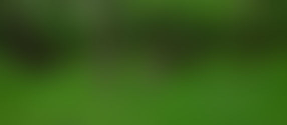 Goede voornemens - A Biosphere Project Blog