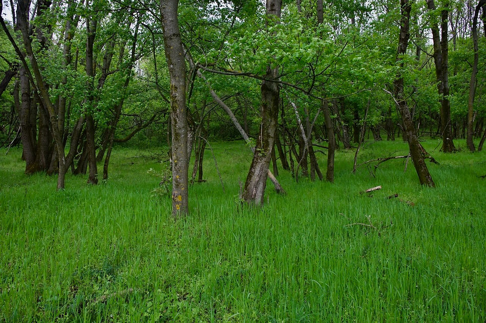 Goede voornemens - A Biosphere Project Blog