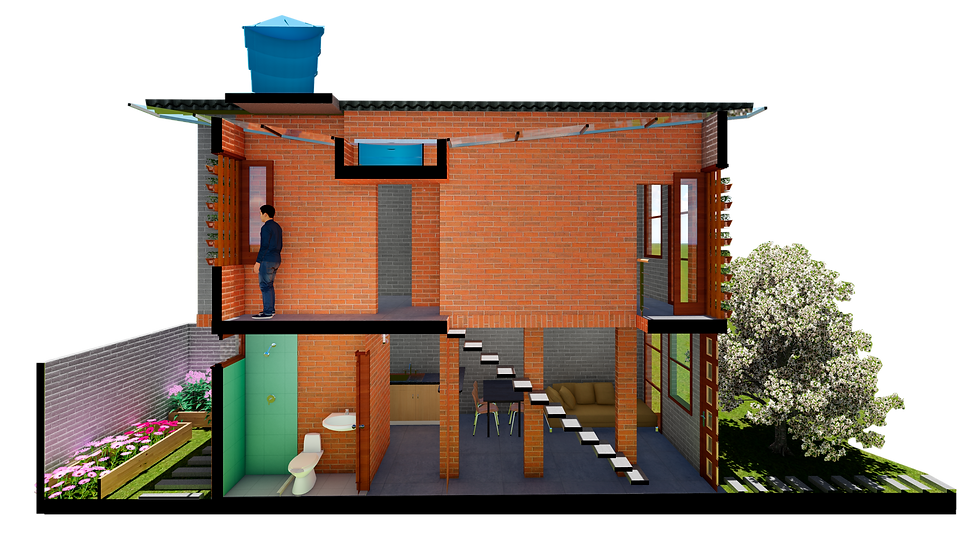 CORTE LONGITUDINAL 3D SIN FONDO
