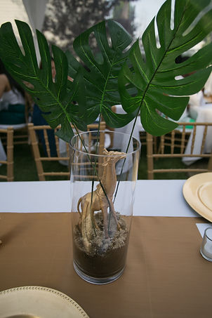 _MG_3294.jpg