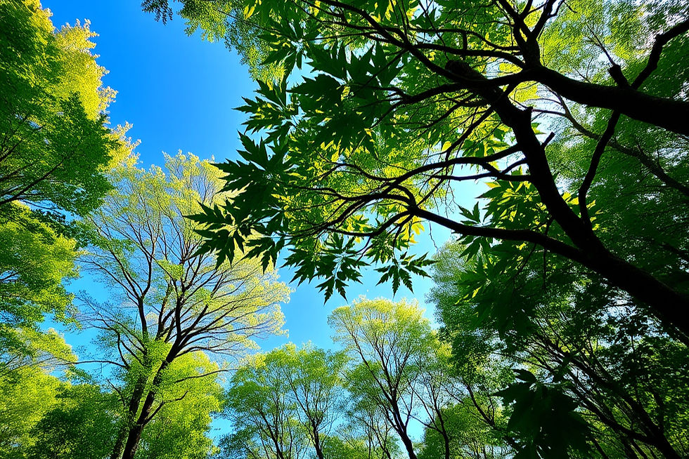 感情は、コントロールするものじゃなく“共存するもの”EQがくれた、選択の可能性とこれからの自分を少しだけ変えるヒント