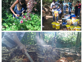 2 anos de compostagem no Jardim Marajoara!
