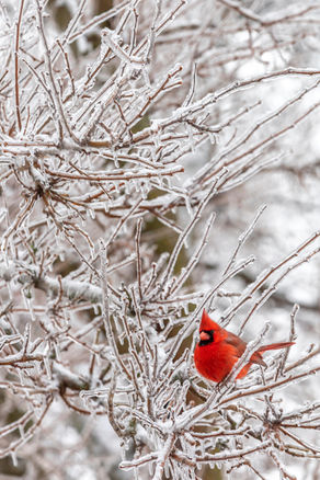 Events Update - November 23, 2023