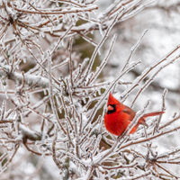 Events Update - March 2, 2023