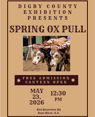 Ox Pull