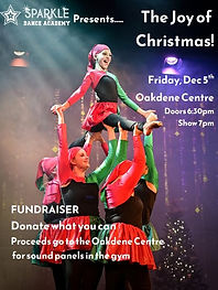 The Joy of Christmas (Sparkle Dance Academy)