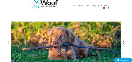 woofphoto website