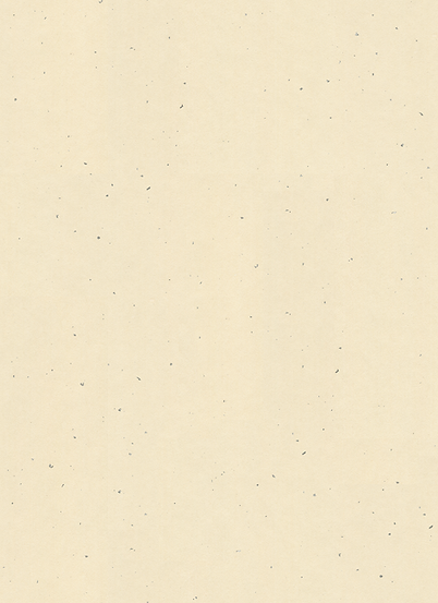 p0401_l.png