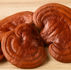 The Goodness of Lingzhi (Ganoderma)