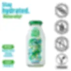 Coconaut® Original 250ml – Kleines Kokoswasser, natürlich, voller Elektrolyte, ideal für Snackbox oder Lunchpaket