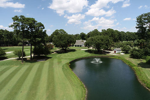 18 Green DJI_0255.JPG