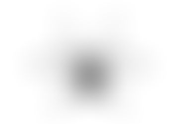 The thing with the spider.