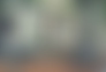 The Honorary Grandfather. Part 2