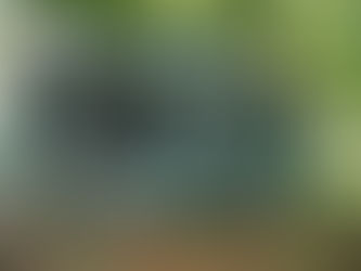 Propane and The Honorary Grandfather. Part 3