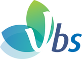 logo vbs.png