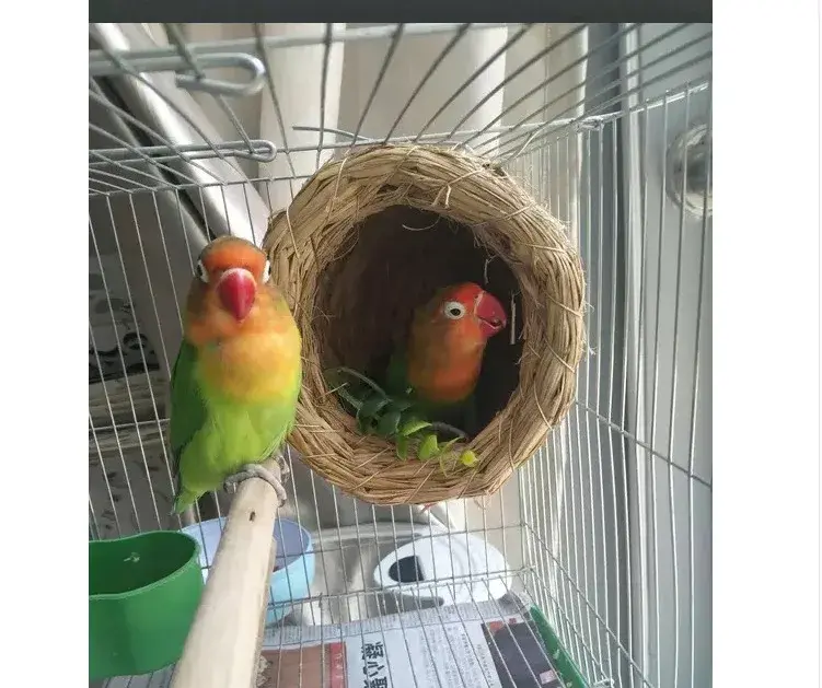 Thumbnail: Handmade Straw Natural Bird Nest/Pigeon House Parrot Nest Warm Pet Bedroom Court