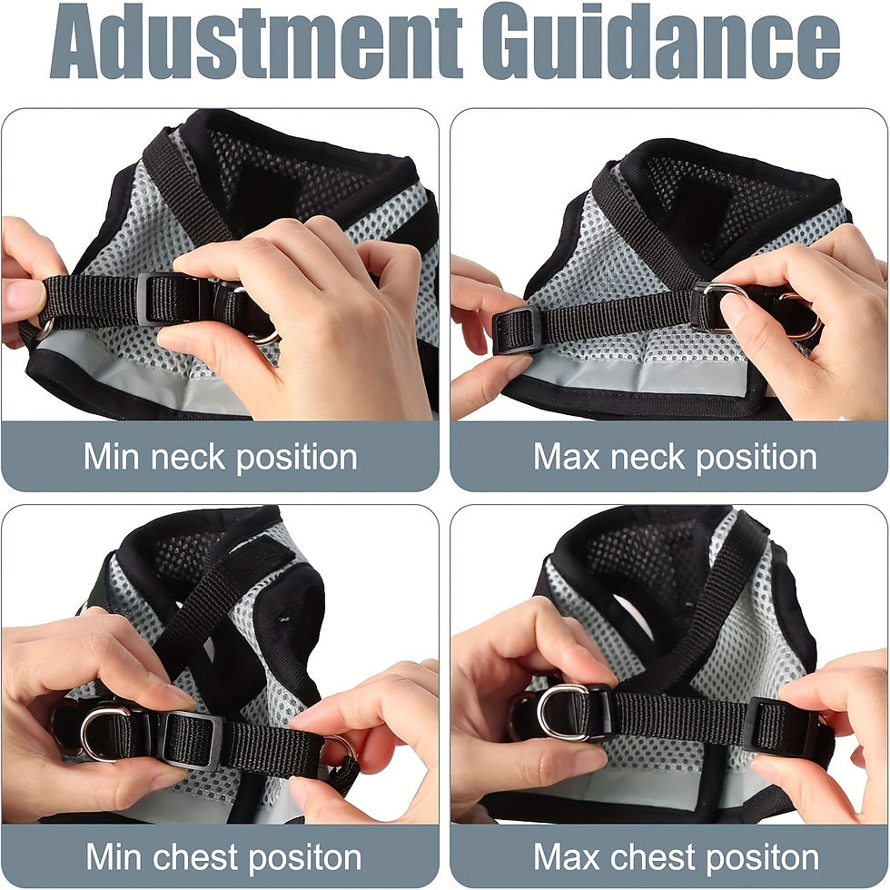 Thumbnail: Pets Collar, Harness, Cats Pet Products Kitten Accessories Goods Kittens Harness