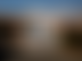 Saiva Sithantha Sungum - Joburg North Branch opens in Randburg