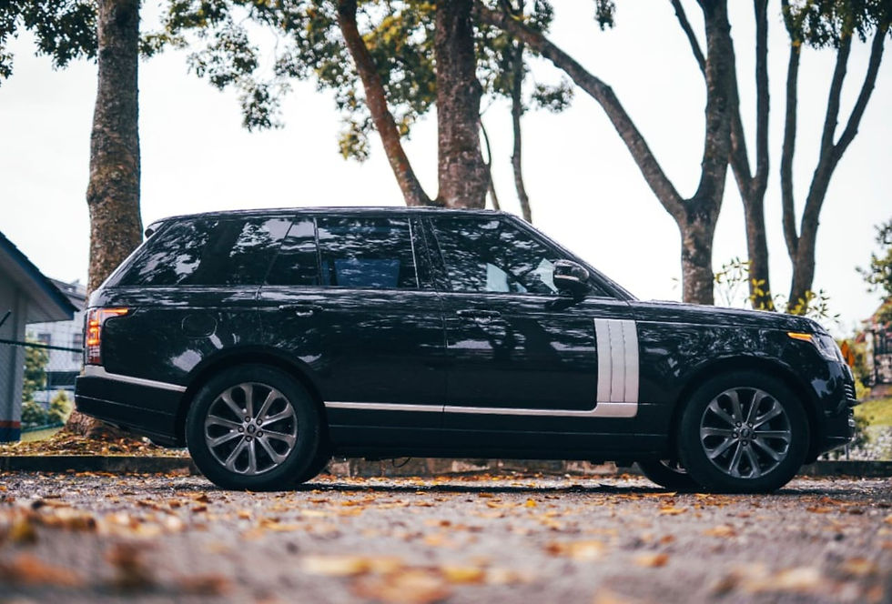 Thumbnail: Range Rover Vogue