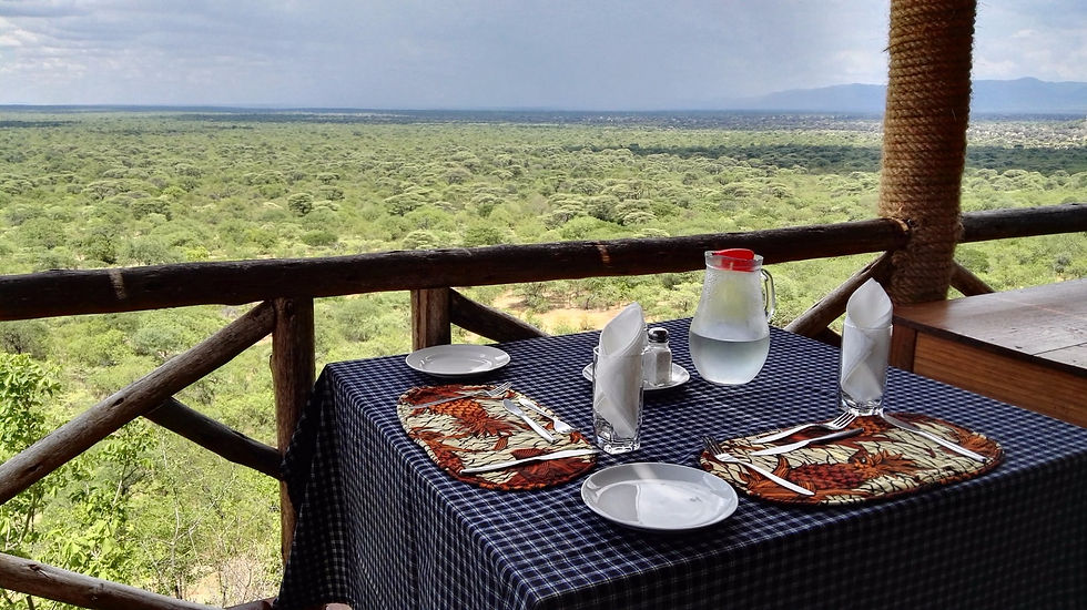 Ruaha hilltop 3