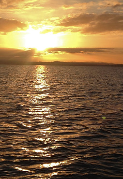 Bodensee-Sonne Oktober 17 (2).jpg