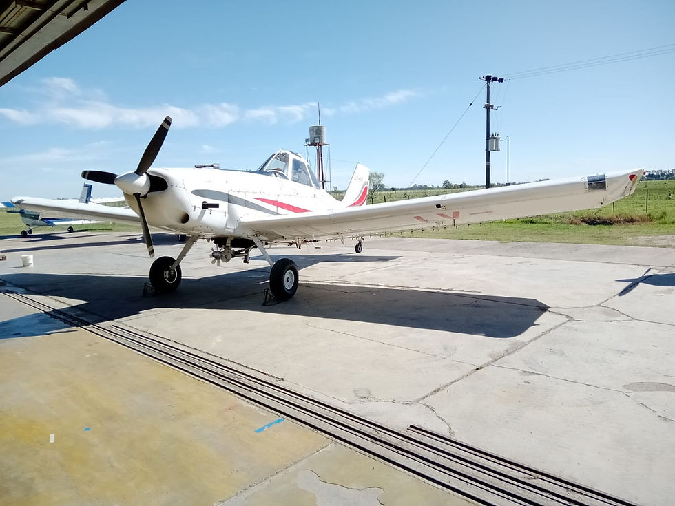 Miniatura: PIPER PA-36-300 BRAVE 1979