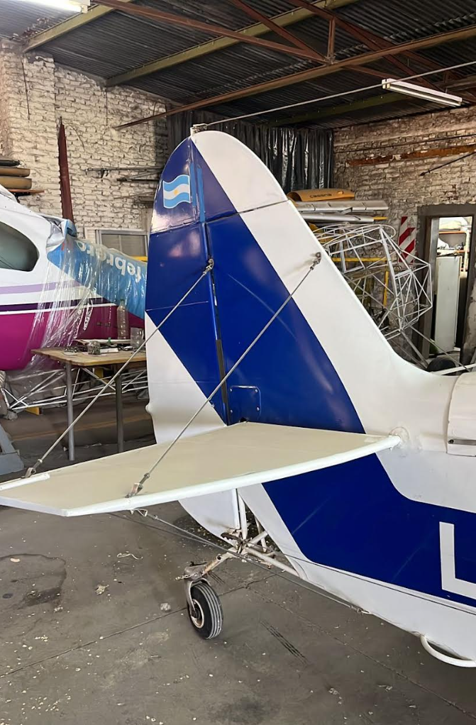 Miniatura: 1998 LAVIA S.A.  PA-25-260 PUELCHE