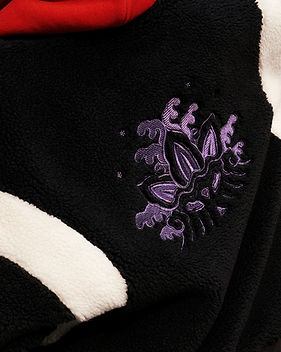 Detail of Miao embroidery-inspired artwork for Adidas