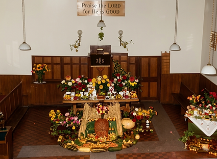 49 - EBBC M Biddlecome Harvest 1 gemini.png