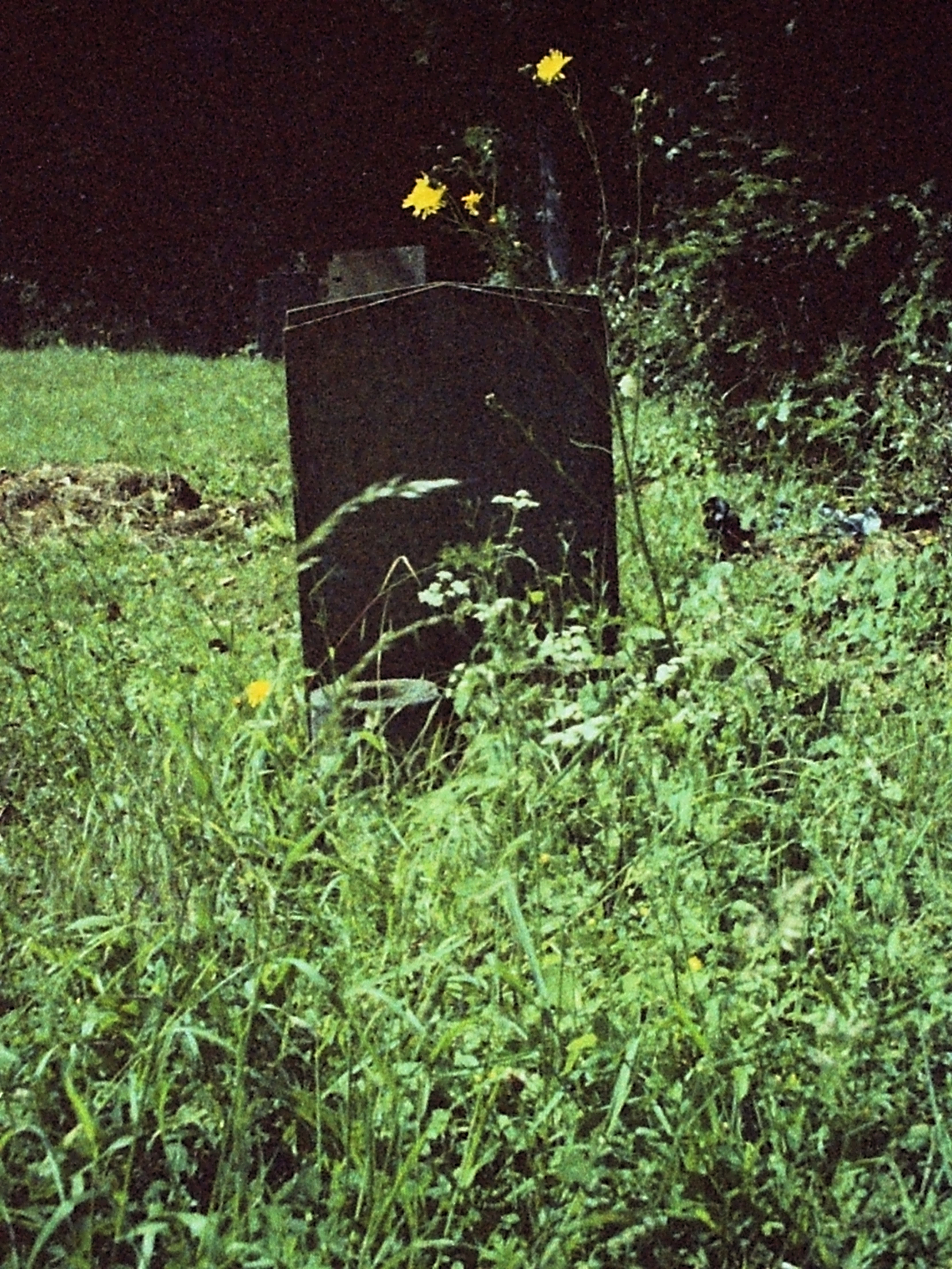 Supasnaps 100asa (1991)