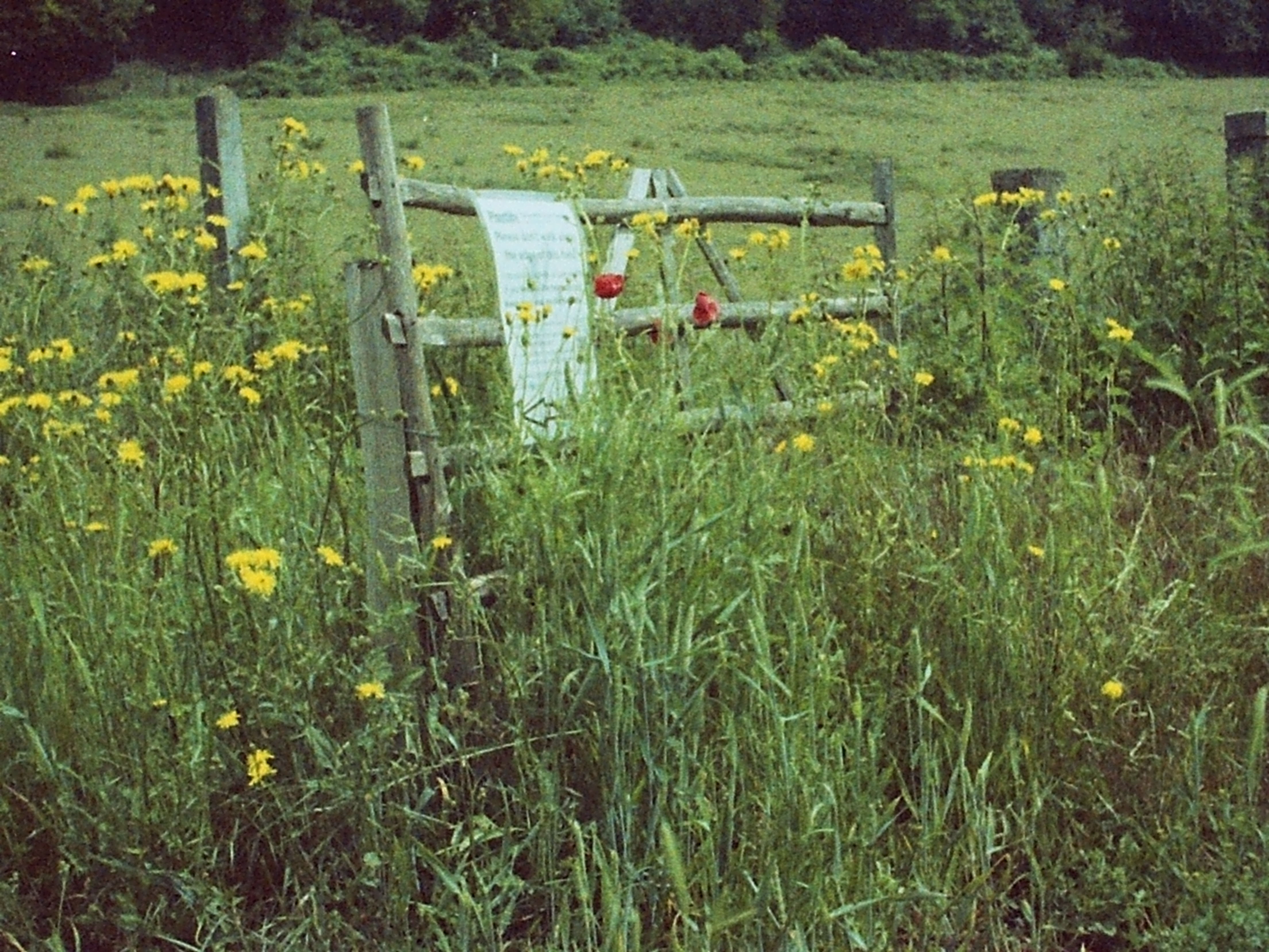 Supasnaps 100asa (1991)