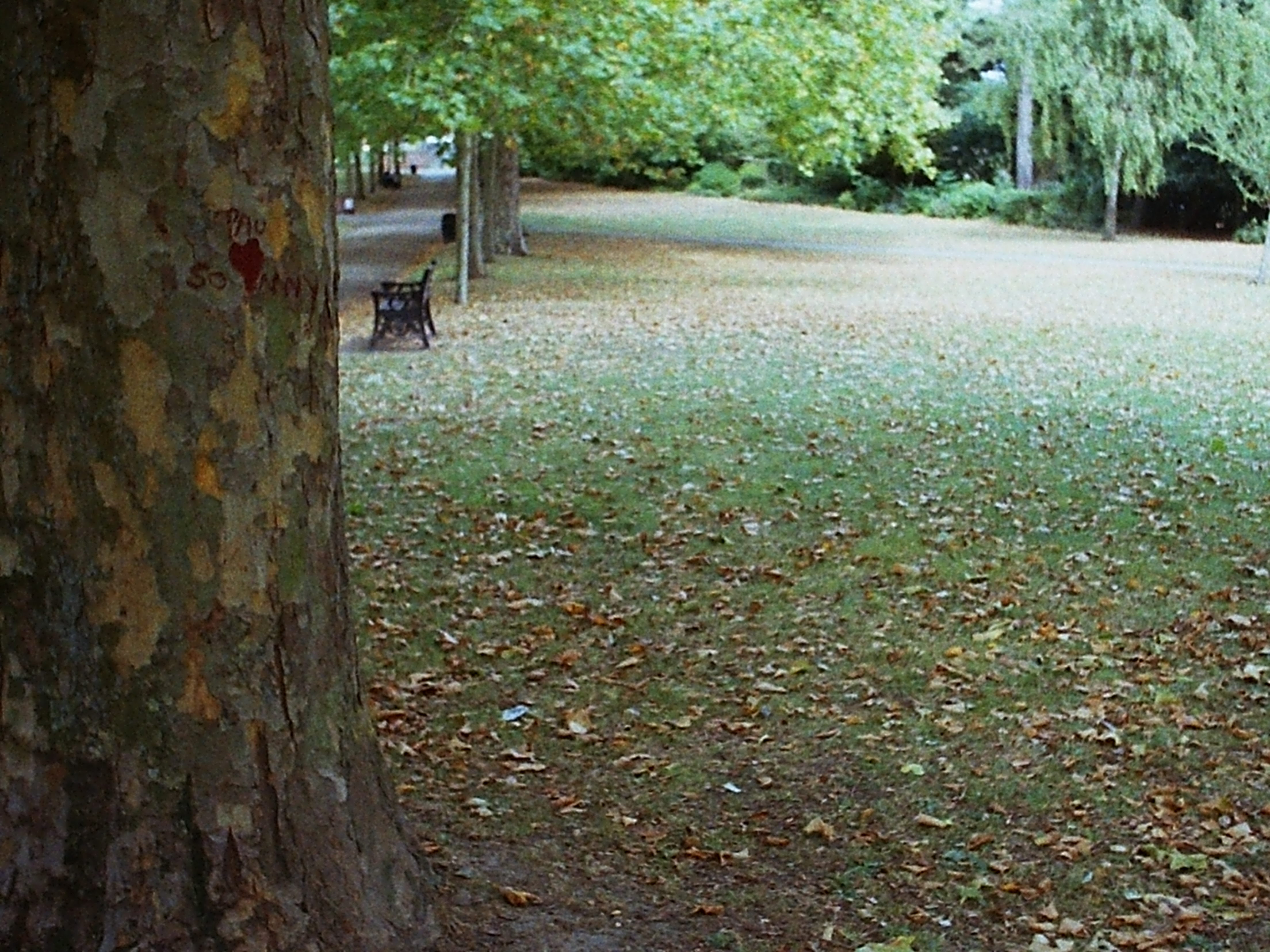 Fuji Superia 200 (2009)