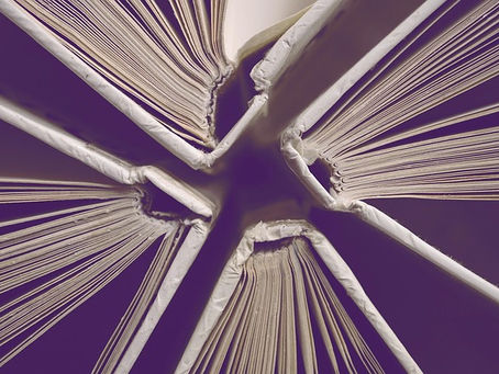 Bookcovers for Little Lord Fauntleroy – Frances Hodgson Burnett Black Beauty – Anna Sewell The Swiss Family Robinson – Johann David Wyss Rebecca of Sunnybrook Farm – Kate Douglas Wiggin Treasure Island – Robert Louis Stevenson