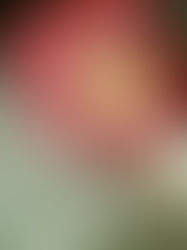  Book cover of Hope Between the Pages by Pepper Basham  Book cover of Love and a Little White Lie by Tammy L. Gray  Book cover of Just Let Go by Courtney Walsh  Book cover of Dear Mr. Knightley by Katherine Reay  Book cover of Authentically, Izzy by Pepper Basham  Book cover of Love Fortunes and Other Disasters by Kimberly Karalius  Book cover of Maybe This Time by Kasie West  Book cover of It Started with Goodbye by Christina June  Book cover of Don’t Date Rosa Santos by Nina Moreno  Book cover of Waiting for Tom Hanks by Kerry Winfrey